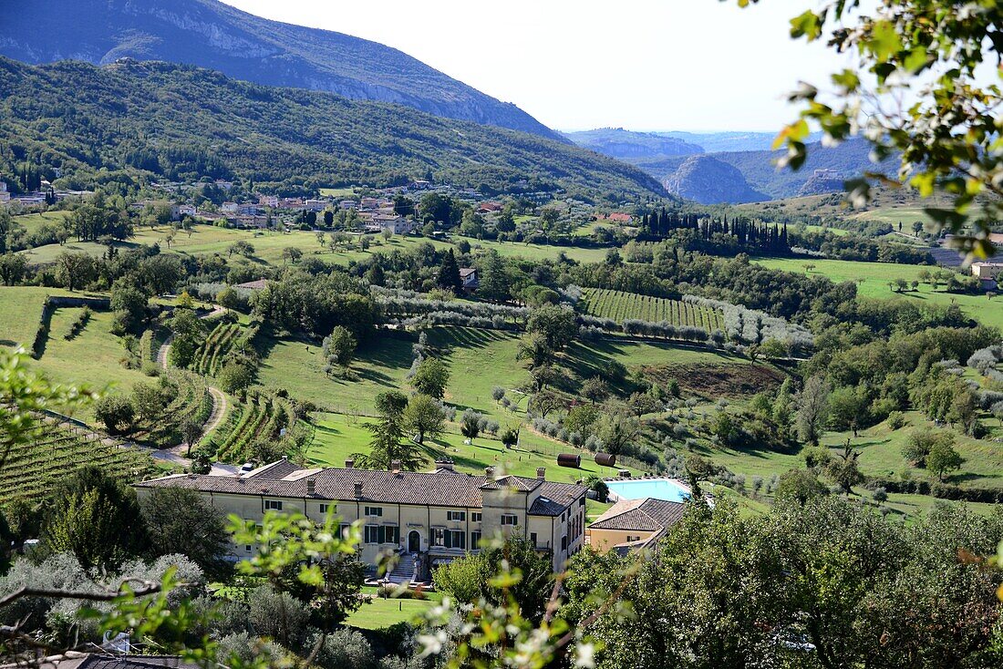 Bardolino-Weinfelder bei Affi, Ostufer, Gardasee, Veneto, Italien