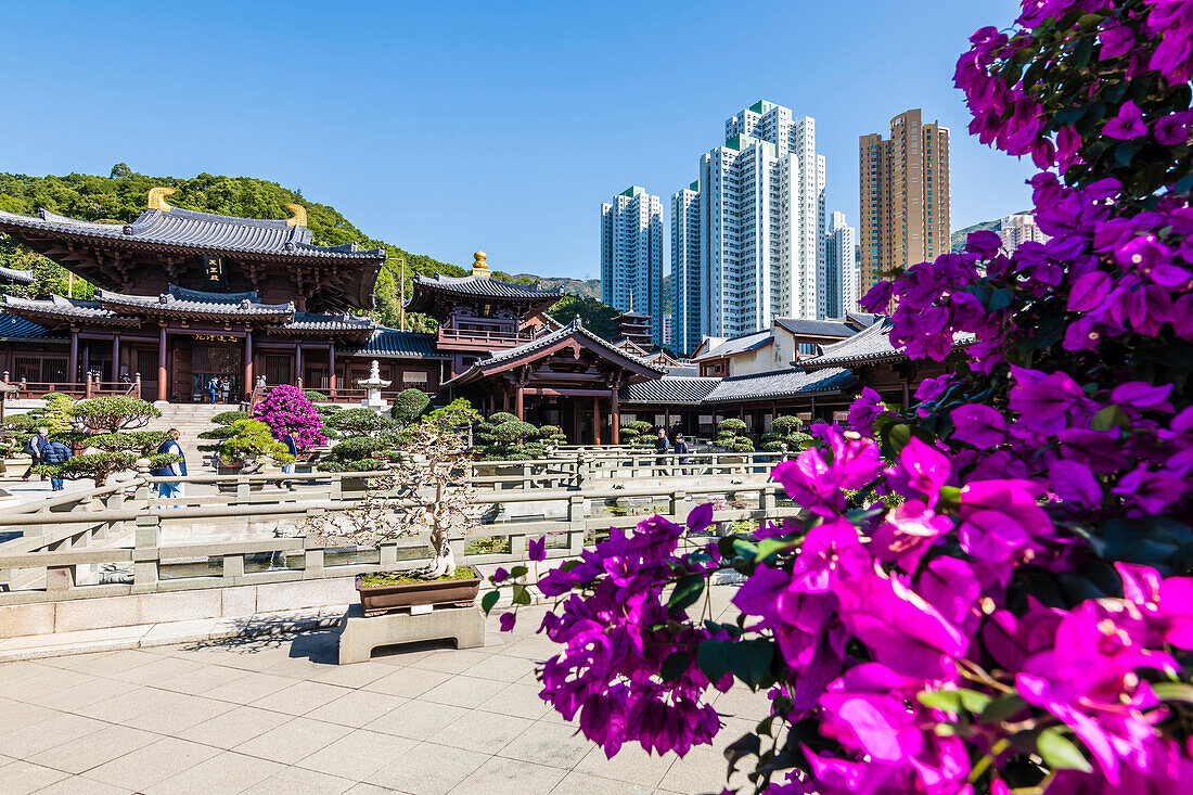 Buddhistischer Tempel und die Chi Lin Nunnery mit der Kulisse der Hochhäuser in Kowloon, Hongkong, China, Asien