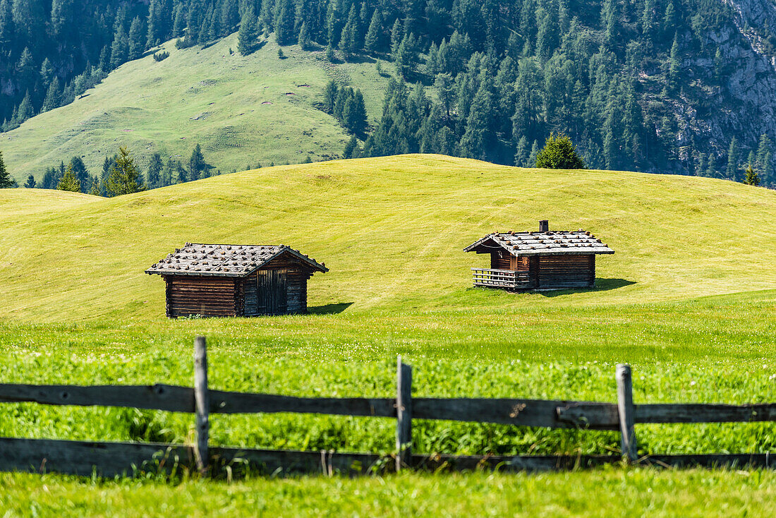 Typische Holzhütten auf einer Almwiese auf der Seiser Alm, Compatsch, Südtirol, Alto Adige, Italien