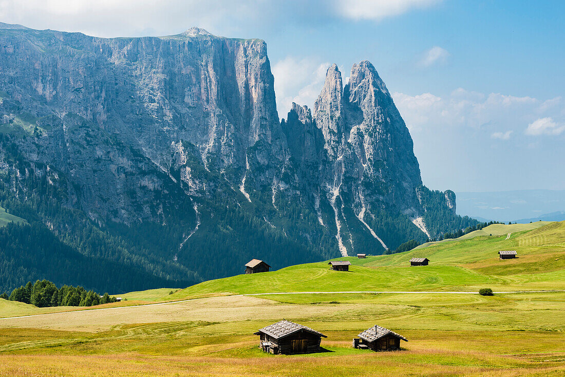 Typical wooden huts on a meadow of the Alpe di Siusi with a view at the mountain range Schlern, Compatsch, South Tyrol, Alto Adige, Italy