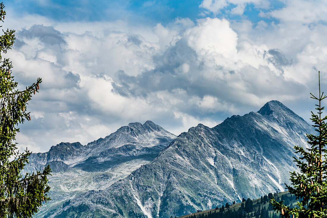 Berghänge eingerahmt von Tannen in der Zillertaler Alpen, Königsleiten, Zillertal, Tirol, Österreich