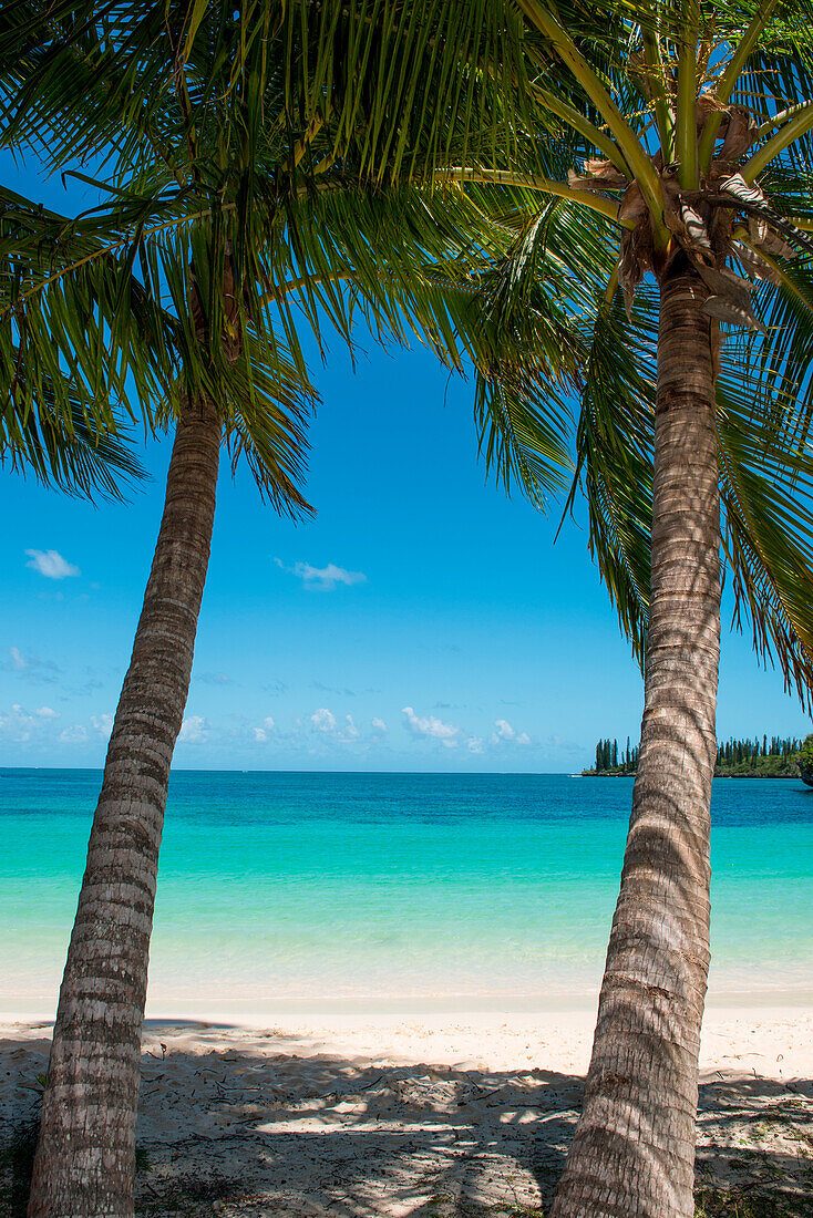 Zwei Palmen umrahmen einen idyllischen Blick auf weißen Sand und türkisfarbenes Wasser, Ile des Pins, Neukaledonien, Südpazifik