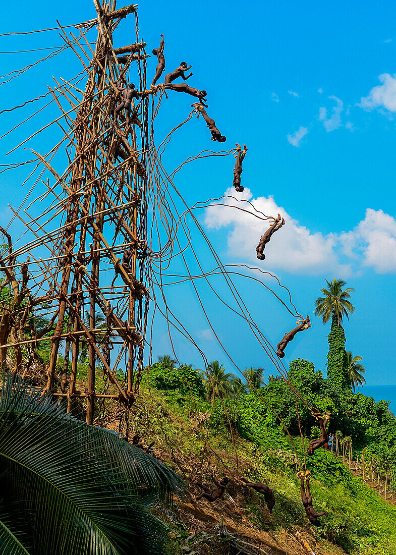 Montage showing the stages of a man's jump from a high wooden tower with only vines attached to his ankles, Pentecost Island, Torba, Vanuatu, South Pacific