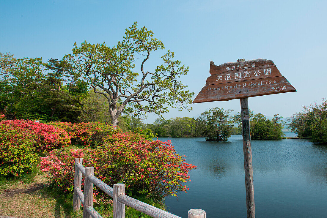 Idyllische Szene mit Bäumen, blühenden Sträuchern und Wasser im Onuma-Quasi Nationalpark, Hakodate, Hokkaido, Japan, Asien