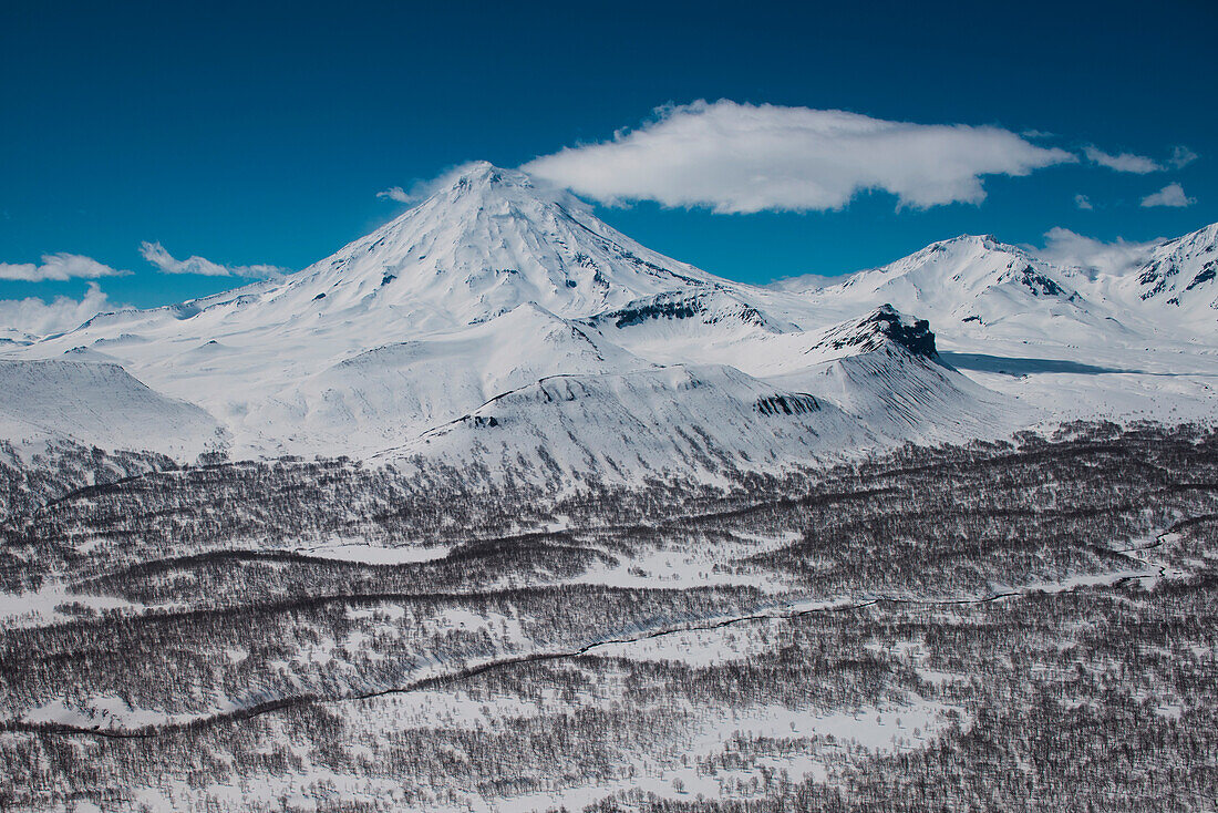 Luftaufnahme von Koryaksky Vulkan und Bäume in schneebedeckter Landschaft vom Hubschrauber aus gesehen, Petropavlovsk-Kamchatsky, Kamtschatka, Russland, Asien