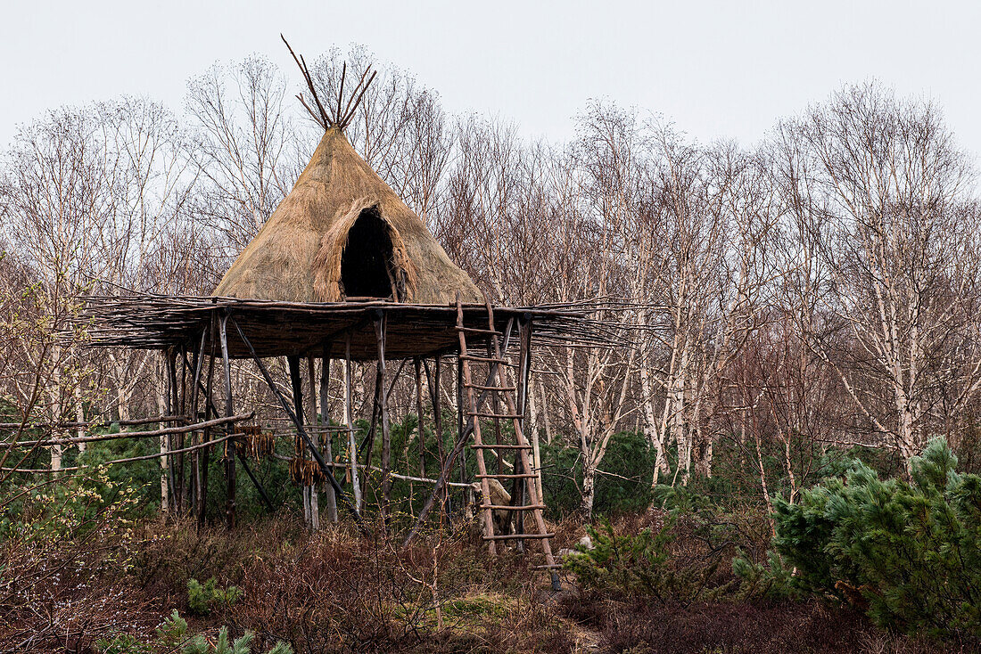 A raised teepee typical of the Itelmen culture, Itelmen Homestead, Kamchatka, Russia, Asia