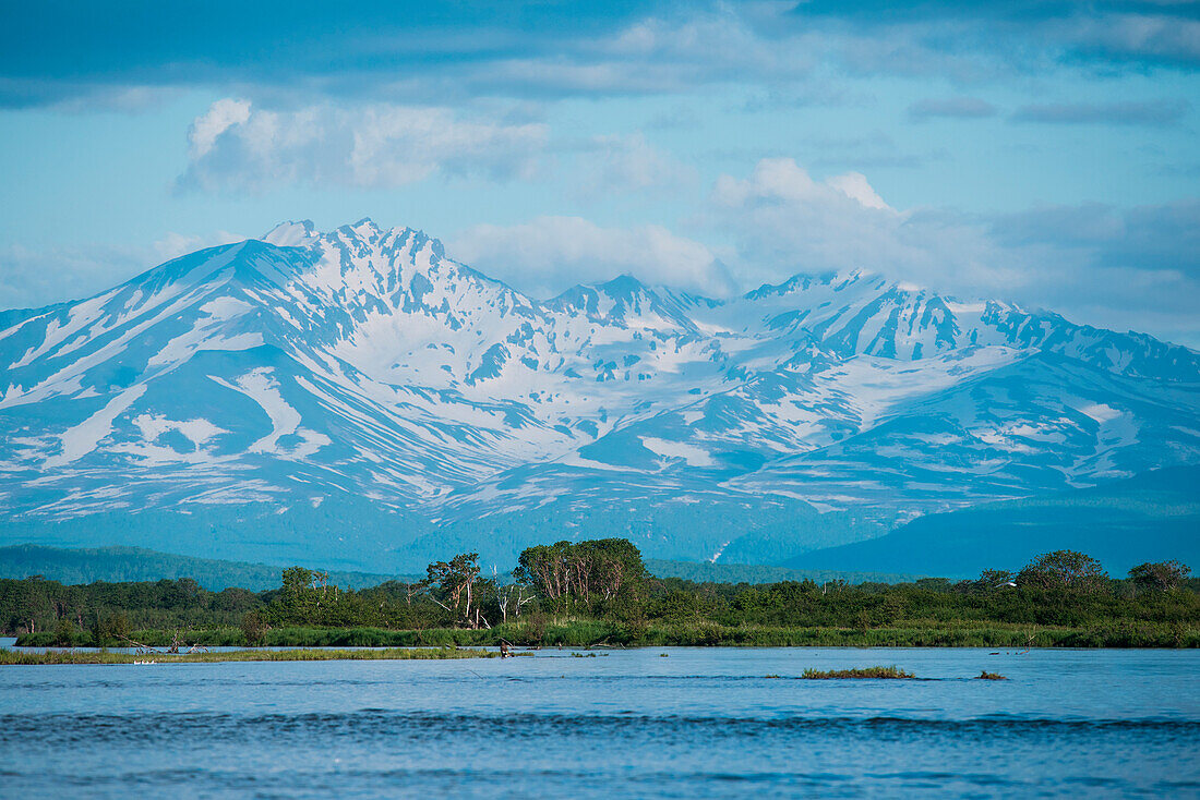 View of green banks and snowy mountains along the Zhupanova River, Zhupanova River, Russia, Asia