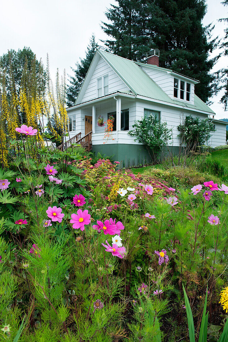 Bunte Blumen schmücken den Garten vor einem weißen hölzernen Haus, Petersburg, Mitkof Island, Alaska, USA, Nordamerika