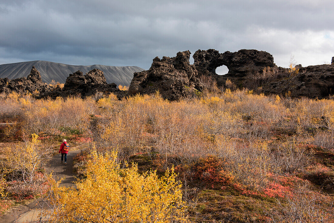 A tourist with red parka and light backpack walks through autumnal trees and bushes toward a lava-rock formation featuring a large hole, Dimmuborgir, near Seyðisfjörðdur, Eastern Iceland, Europe