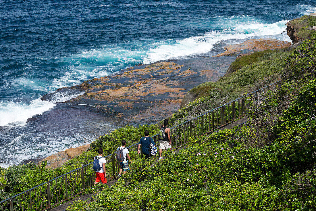 Der Bondi to Coogee Walk entlang der Küste Sydneys, Sydney, New South Wales, Australien