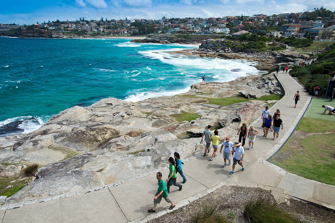Der Bondi to Coogee Walk entlang der Küste Sydneys mit dem Coogee Beach im Hintergrund, Sydney, New South Wales, Australien