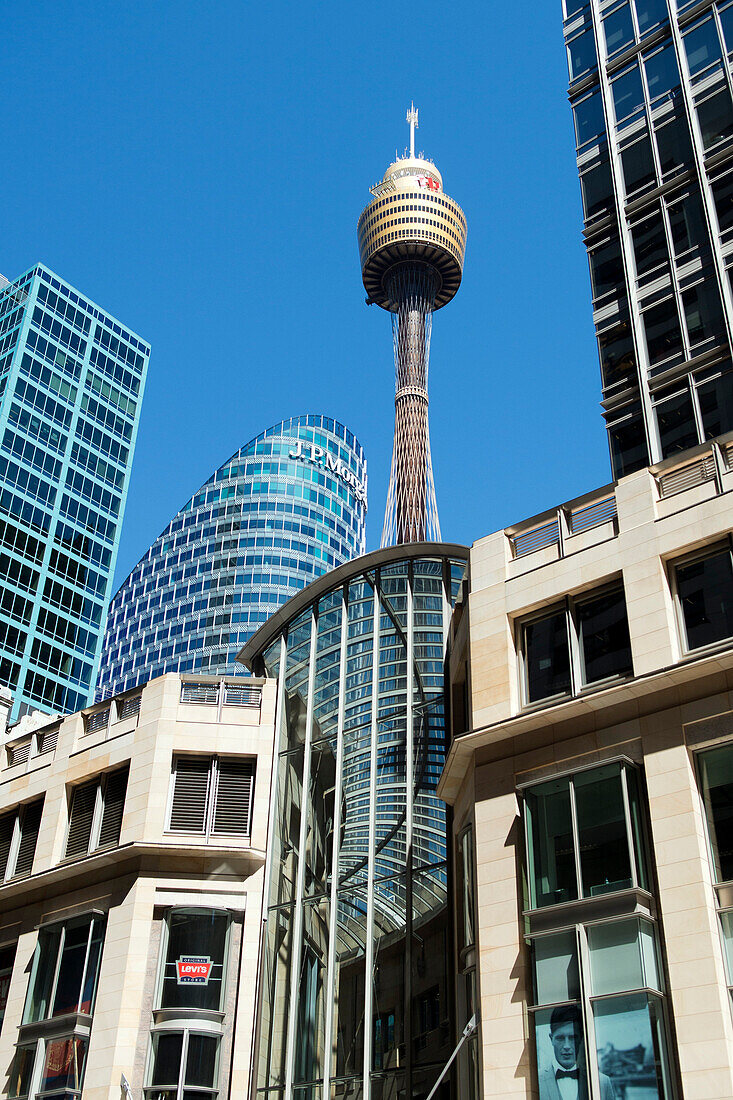 The city of Sydney with the Sydney Tower, Sydney, New South Wales, Australia