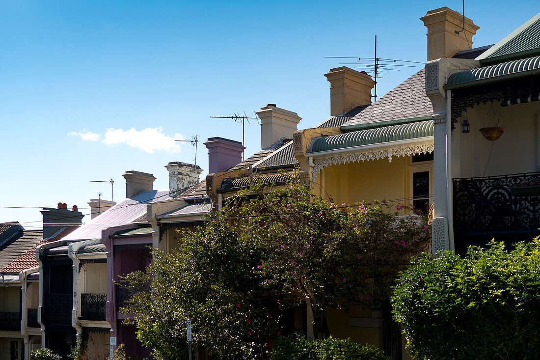 Reihenhäuser im stadtnahen Vorort Paddington, Sydney, New South Wales, Australien