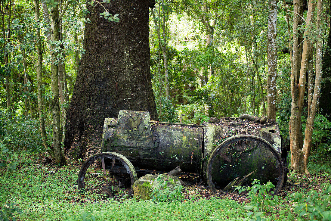 Die historsche Dampfmaschine erinert an die Zeiten, als die Wälder auf der Insel abgeholzt wurden, Australien