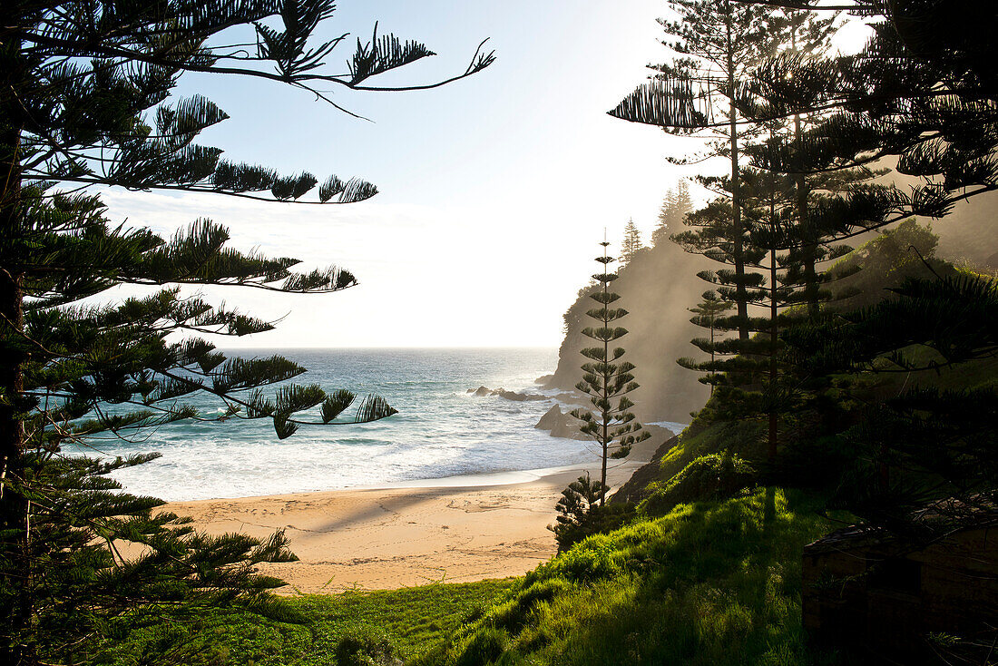 Blick auf die Anson Bay an der Westküste von Norfolk Island, Australien