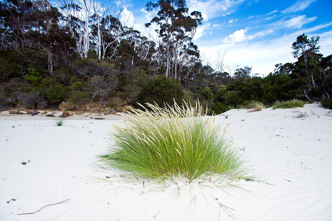 Deserted beach on Cockle Bay in the deep South of Tasmania , Tasmania, Austalia