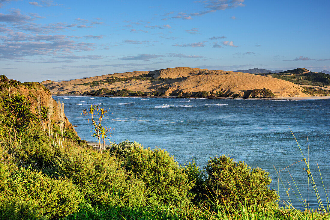 Bay and dune at Hokianga Harbour, Northland Region, North island, New Zealand