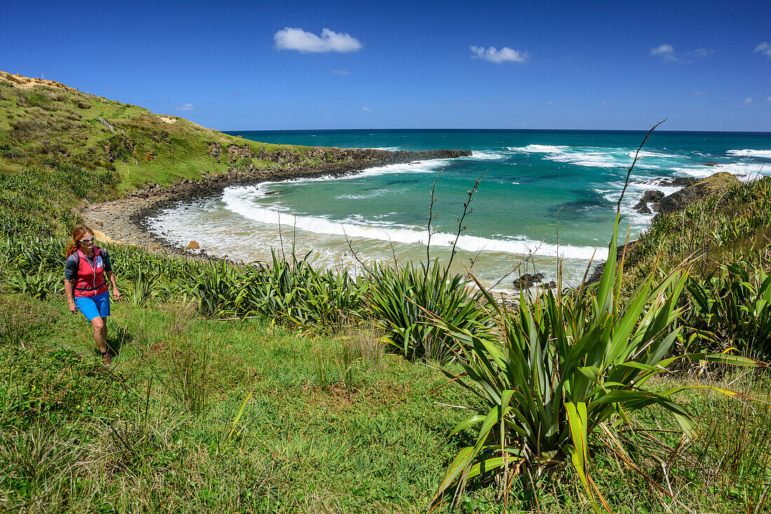 Frau wandert auf Waimamaku Coastal Track entlang der Küste, Waimamaku Coastal Track, Northland Region, Nordinsel, Neuseeland