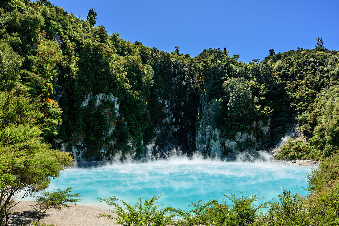 Blue crater lake, Inferno Lake, Waimangu Vulcanic Valley, Rotorua, Bay of Plenty, North island, New Zealand