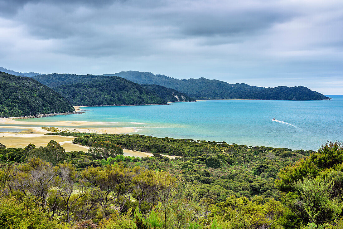 Bay with sand beach at Abel Tasman Coastal Track, Abel Tasman Coastal Track, Great Walks, Abel Tasman National Park, Tasman, South island, New Zealand