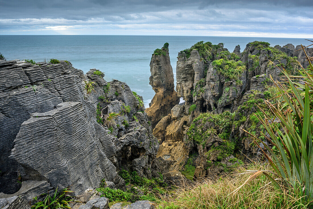 Geschichtete Felsformation an der Küste, Pancake Rocks, Punakaiki, West Coast, Südinsel, Neuseeland