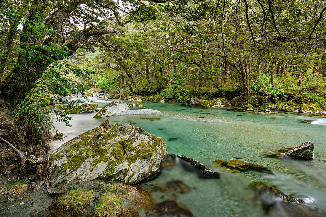 Routeburn River, Routeburn Track, Great Walks, Fiordland National Park, UNESCO Welterbe Te Wahipounamu, Queenstown-Lake District, Otago, South island, New Zealand