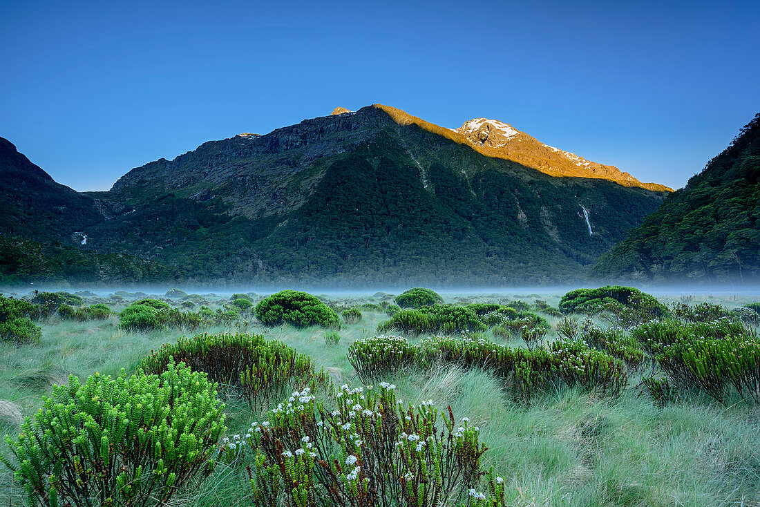 Meadow at Routeburn Flats, Routeburn Track, Great Walks, Fiordland National Park, UNESCO Welterbe Te Wahipounamu, Queenstown-Lake District, Otago, South island, New Zealand