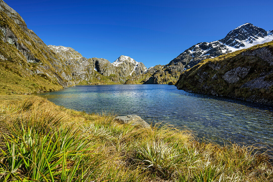 Harris Lake, Routeburn Track, Great Walks, Fiordlands Nationalpark, UNESCO Welterbe Te Wahipounamu, Queenstown-Lake District, Otago, Südinsel, Neuseeland