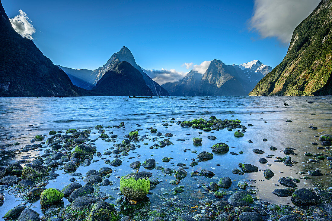 Milford Sound mit Mitre Peak, Milford Sound, Fiordlands Nationalpark, UNESCO Welterbe Te Wahipounamu, Southland, Südinsel, Neuseeland