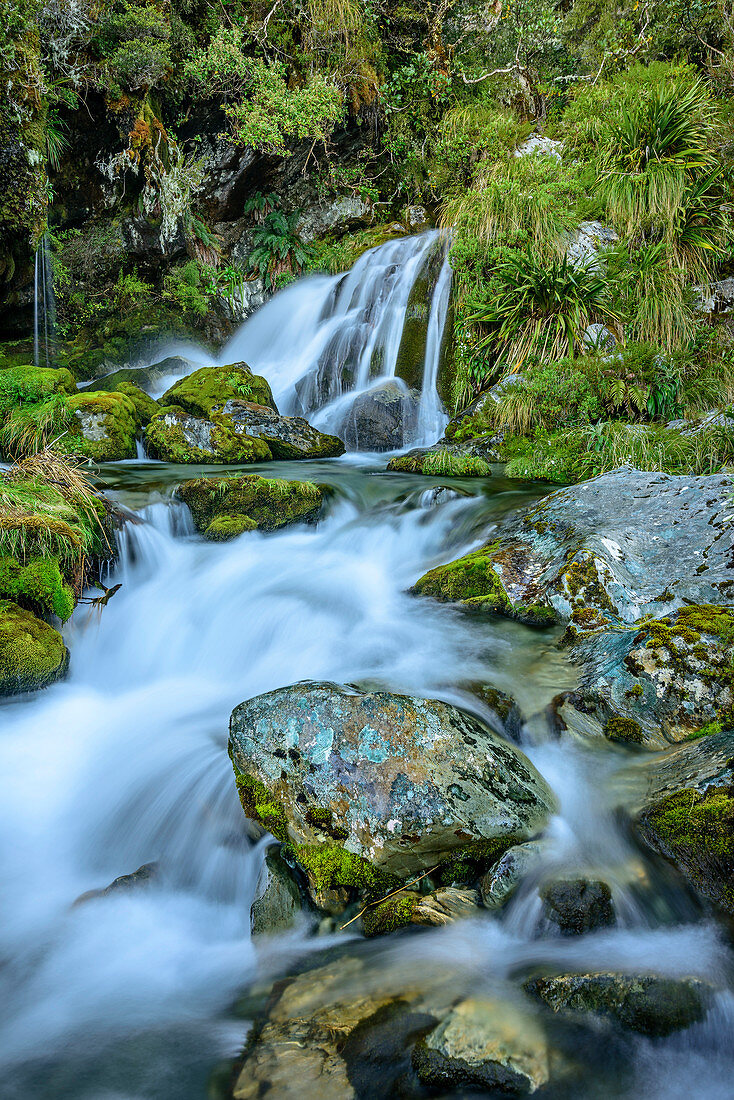 Waterfall at Routeburn Track, Great Walks, Fiordland National Park, UNESCO Welterbe Te Wahipounamu, Queenstown-Lake District, Otago, South island, New Zealand