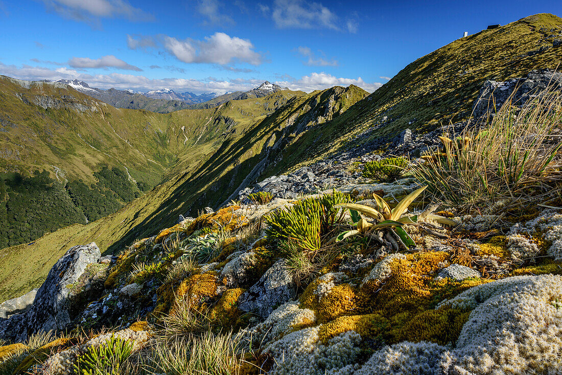 View towards Fiordland National Park from Kepler Track, Kepler Track, Great Walks, Fiordland National Park, UNESCO Welterbe Te Wahipounamu, Southland, South island, New Zealand