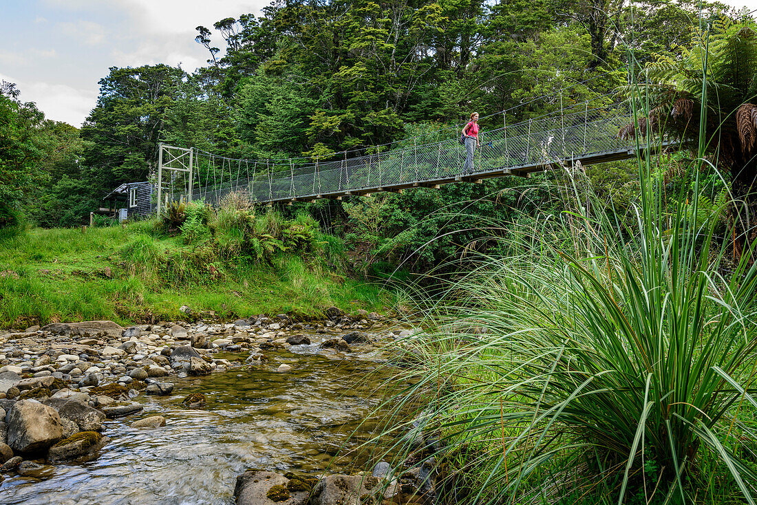 Woman hiking on suspension bridge over stream, Hump Ridge, Hump Ridge Track, Fiordlands National Park, UNESCO world heritage Te Wahipounamu, Southland, South island, New Zealand