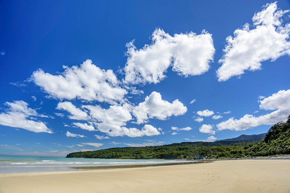 Strand an Tasmanischer See, Hump Ridge, Hump Ridge Track, Fiordlands Nationalpark, UNESCO Welterbe Te Wahipounamu, Southland, Südinsel, Neuseeland