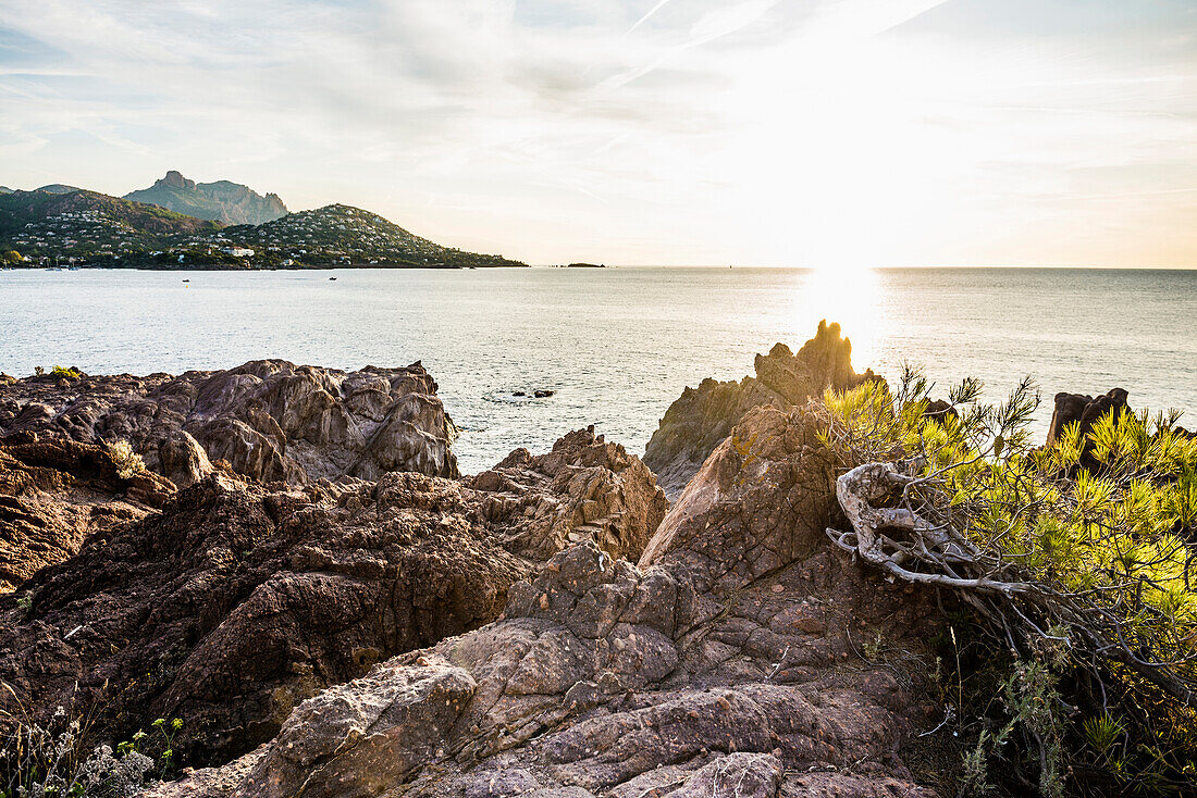 am Cap du Dramont, Massif de l'Esterel, Esterel-Gebirge, Département Var, Région Provence-Alpes-Côte d'Azur, Südfrankreich, Frankreich