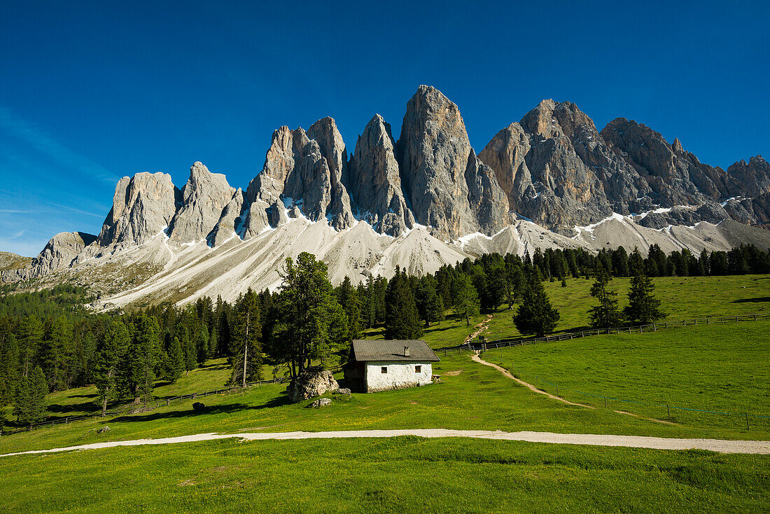 Glatschalm unterhalb der Geislerspitzen, Villnösstal, Sass Rigais, Dolomiten, Südtirol, Italien