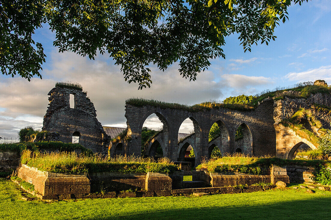 Monastery ruins Alvastra in the evening light, Lake Vättern, Östergötland, Sweden