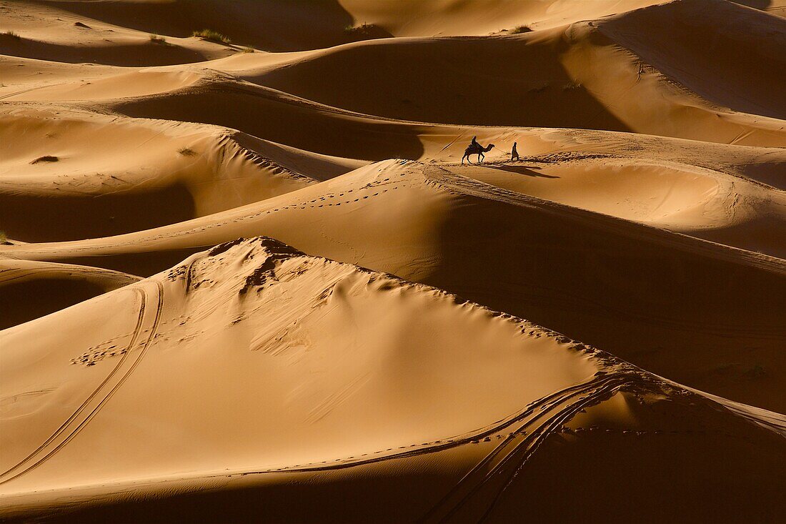 Kamel mit Tourist und Führer am frühen Morgen im Dünengebiet Erg Chebbi, Schatten des Kamels auf den Dünen, Tafilalet,  Marokko