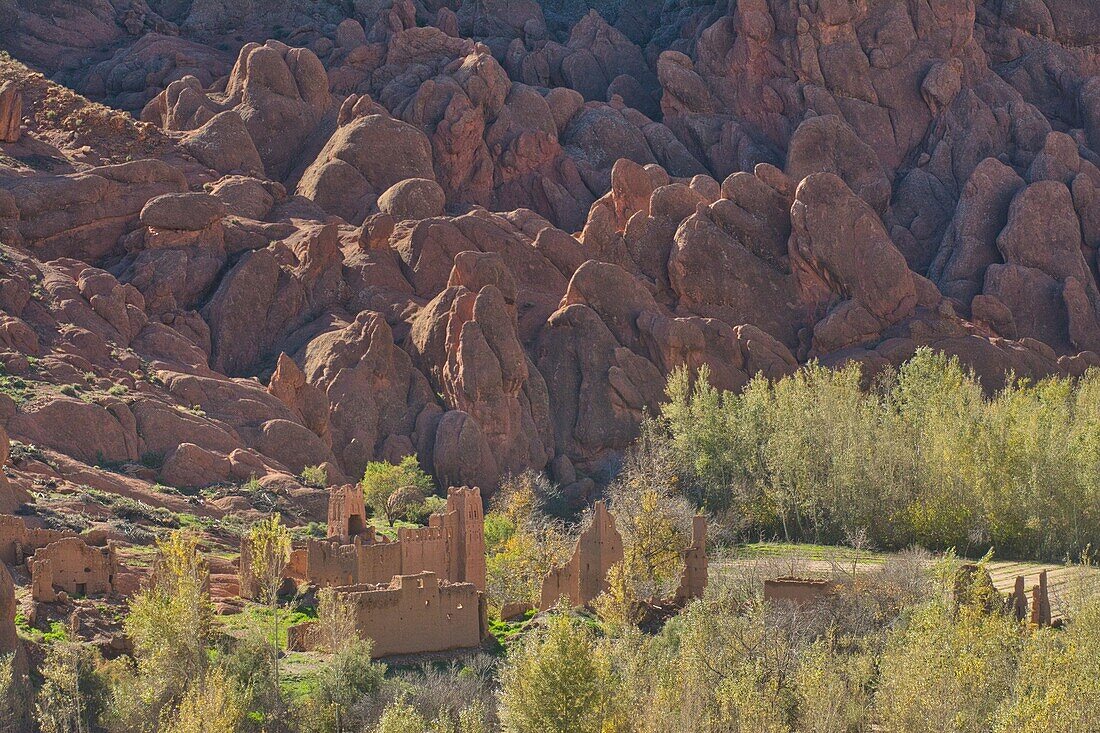 Rockformation in the Dadés gorge with casbah and poplar trees,  small road beside a river passing the gorge, High Atlas, Morocco