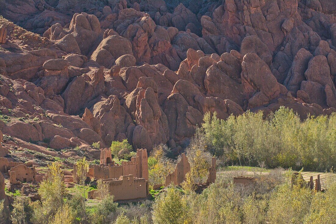 eigenartig geformte Felsen in der Dades Schlucht, Hoher Atlas, Marokko