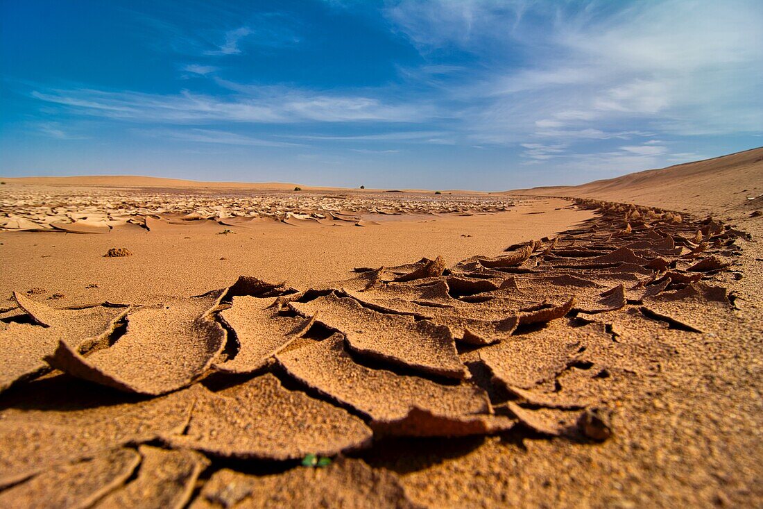 Aufgeworfene Schlammplatten im Erg Chegaga bei M´Hamid, nach einem seltenen Regen trocknet der Boden wieder aus, Sahara, Marokko