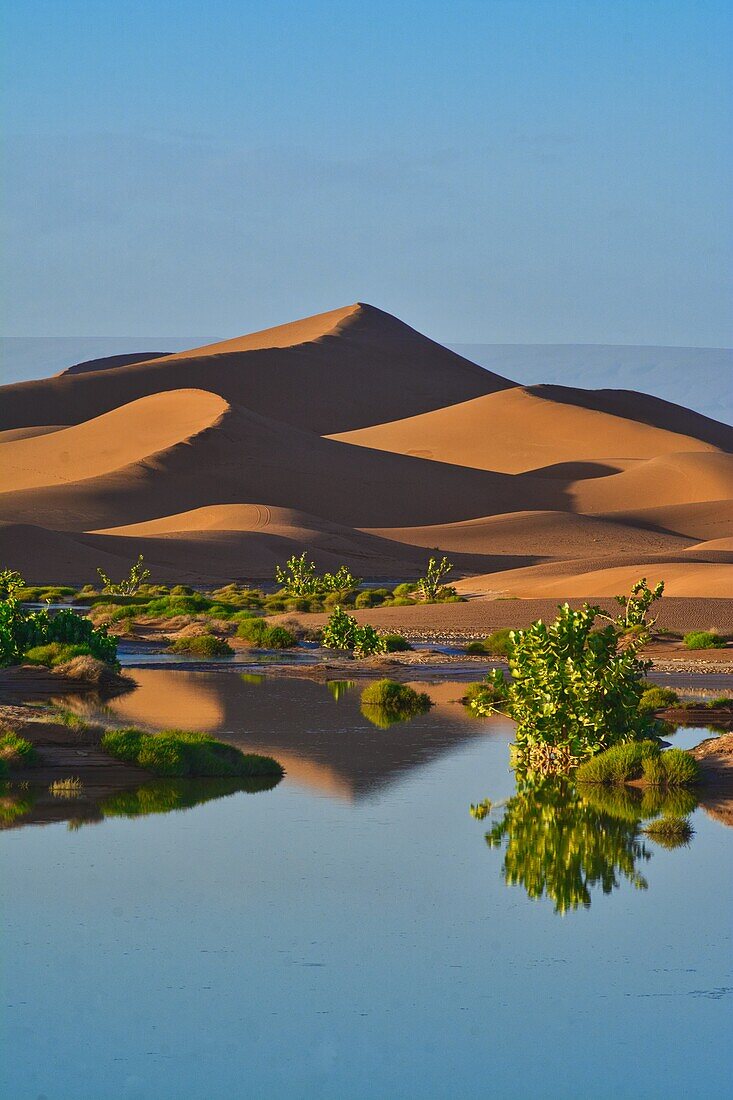 Temporärer See im Erg Chegaga bei M´Hamid nach einem seltenen Regen, der See trocknet schnell wieder aus, Sahara, Marokko