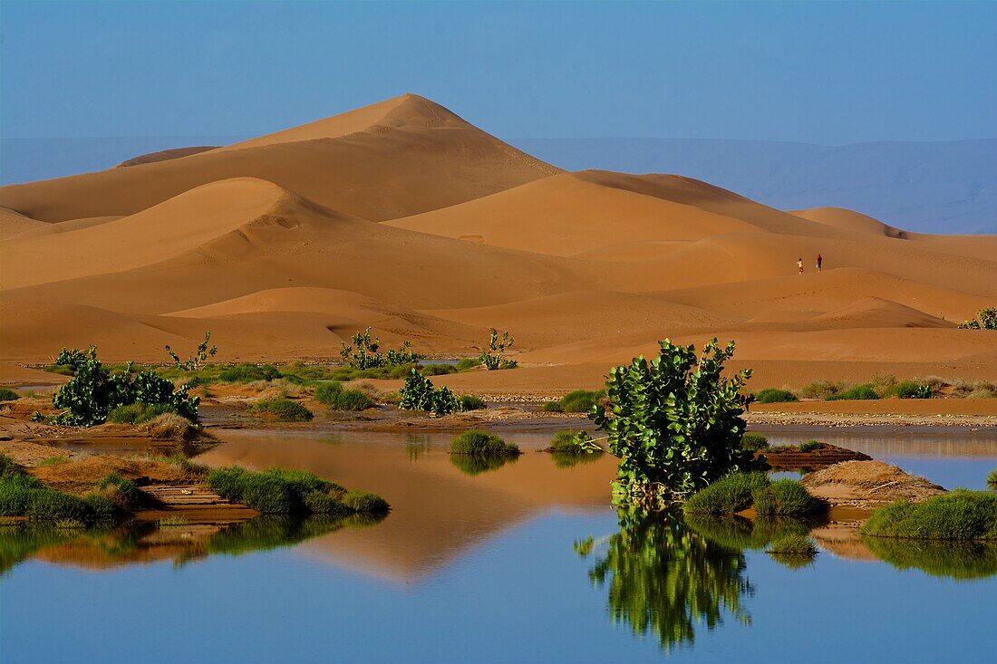 Temporärer See im Erg Chegaga bei M´Hamid nach einem seltenen Regen, der See trocknet schnell wieder aus, Sahara, Marokko