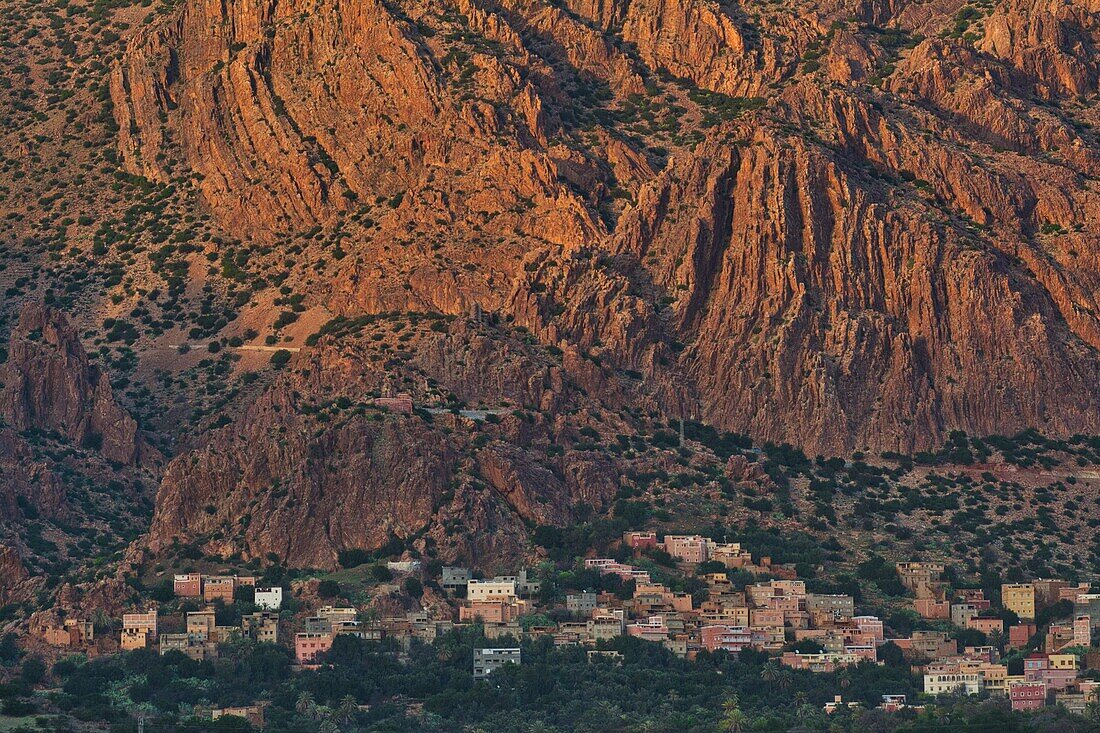 Häuser unter einer Felswand im Tal der Ammeln im Antiatlas, Marokko
