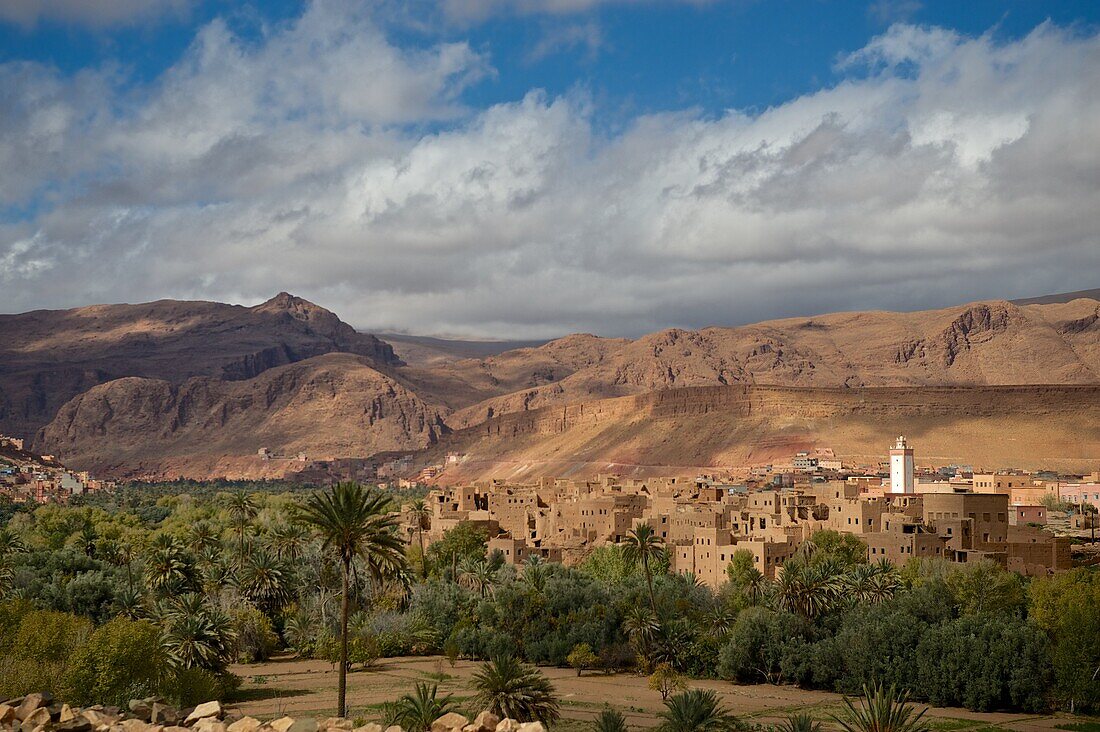 Die Oase Tinghir am Eingang zur Todra Schlucht, Hoher Atlas im Hintergrund, Marokko