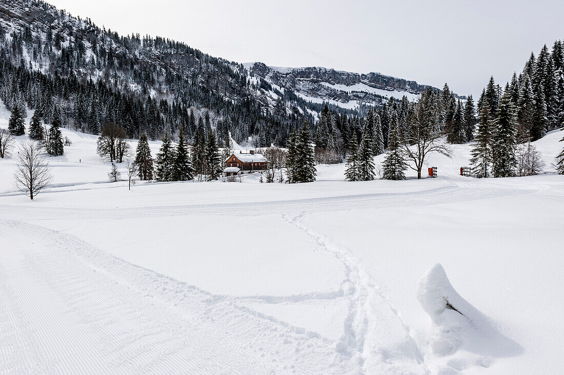 cross-country skiing, snowy landscape, Rohrmoos, Hoernerdoerfer, Allgaeu, Baden-Wuerttemberg, Germany, Europe, winter, Alps