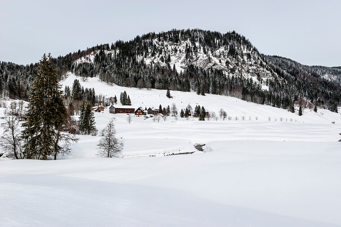 snowy landscape, Rohrmoos, Hoernerdoerfer, Allgaaeu, Baden-Wuerttemberg, Germany, Europe, winter, Alps