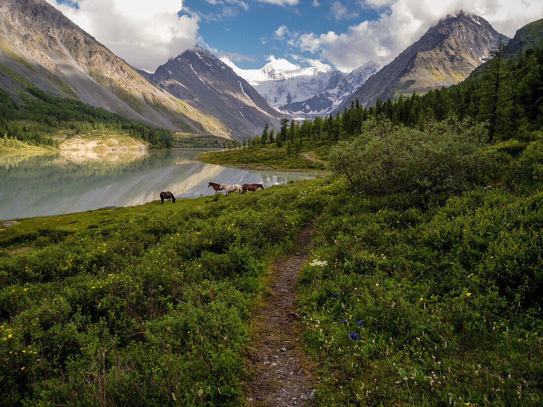 Akkem, See, Belucha, Akkemskoye Ozero, Altai, Sibirien, Russland, Russische Föderation