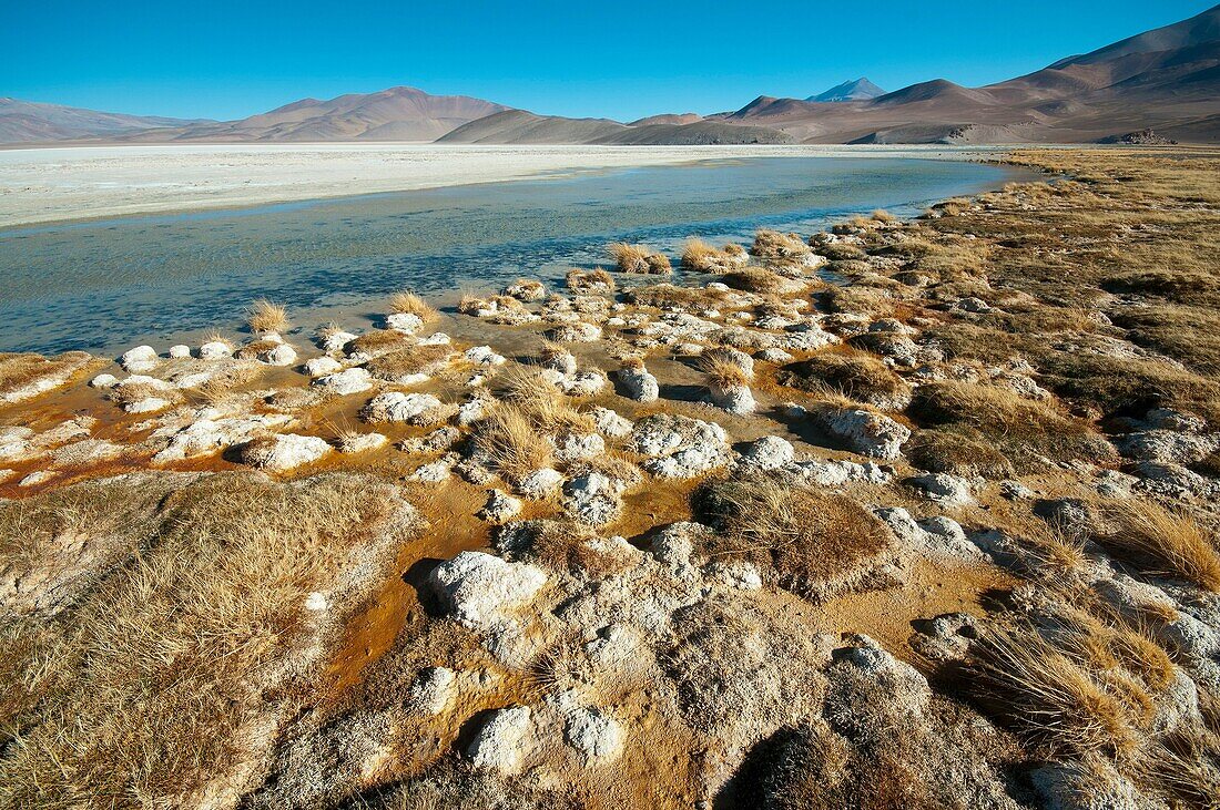 Santa Rosa Lagoon, Nevado Tres Cruces National Park, Region III of Atacama, Chile, South America.