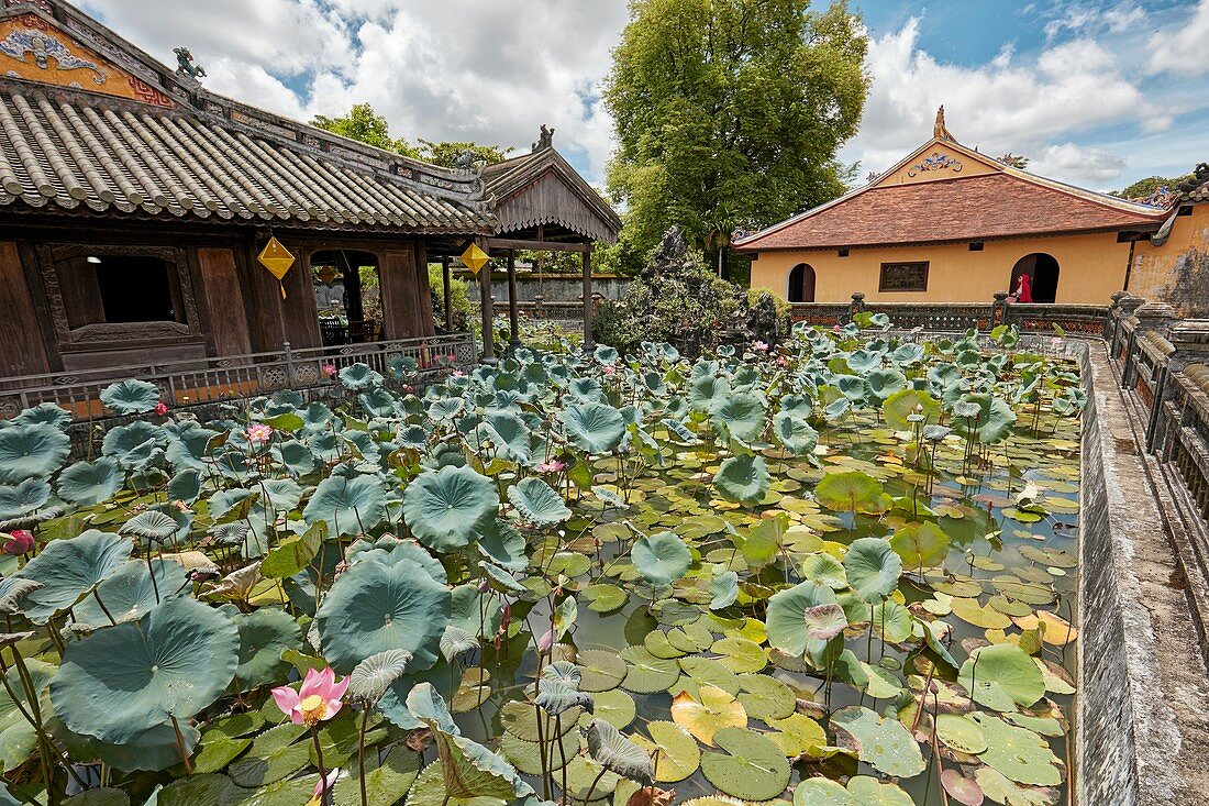 Lotus Lake at the Truong Du Pavilion. Dien Tho Residence, Imperial City, Hue, Vietnam.