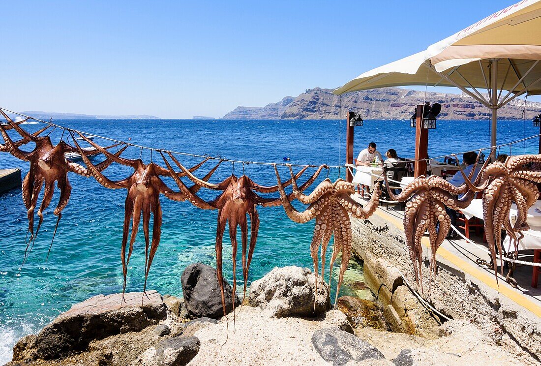 Octopuses hanging on a line outside a seafront taverna in Ammoudi, Santorini, Cyclades, Greece.